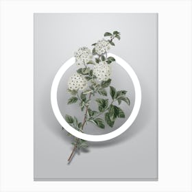 Vintage Germander Meadowsweet Minimalist Flower Geometric Circle on Soft Gray Canvas Print