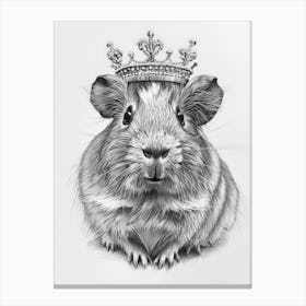 Guinea Pig 4 Canvas Print