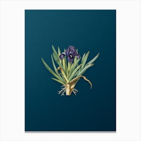 Vintage Pygmy Iris Botanical Art on Teal Blue Canvas Print
