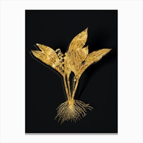 Vintage Lily of the Valley Botanical in Gold on Black n.0071 Canvas Print