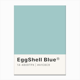 Eggshell Blue Canvas Print