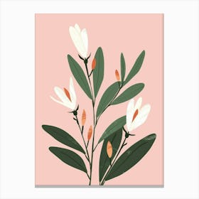 Magnolia 26 Canvas Print