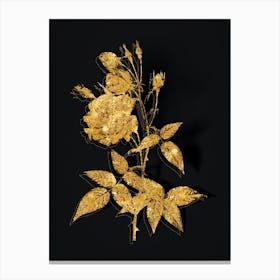 Vintage Common Rose of India Botanical in Gold on Black n.0476 Canvas Print