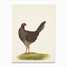Grouse Illustration Bird Canvas Print