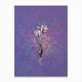 Vintage Autumn Crocus Botanical Illustration on Veri Peri n.0302 Canvas Print