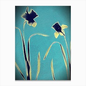 Daffodil cyanotype Canvas Print