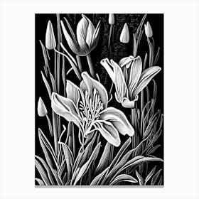 Prairie Gentian Wildflower Linocut Canvas Print