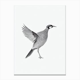 Pheasant B&W Pencil Drawing 2 Bird Canvas Print