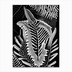 Netted Chain Fern Linocut Canvas Print