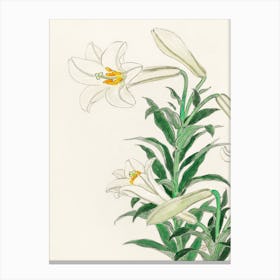 Lilies, Ohara Koson Canvas Print
