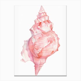 Pink Seashell Canvas Print