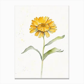 Calendula Leaf Minimalist Watercolour 4 Canvas Print