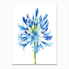 Blue Agapanthus Flower Canvas Print