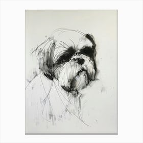 Shih Tzu Charcoal Line 2 Canvas Print