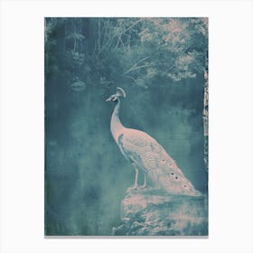 Vintage Peacock By The Lake Cyanotype Inspired 1 Canvas Print