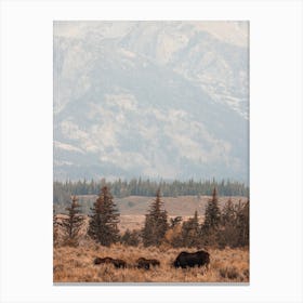 Three Moose Canvas Print