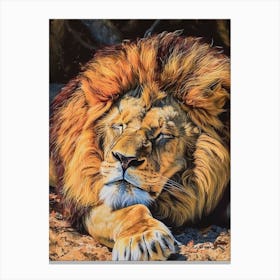Barbary Lion Resting Acrylic Painting 3 Canvas Print