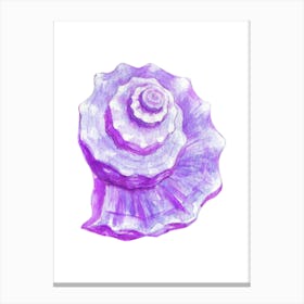 Purple Seashell Canvas Print