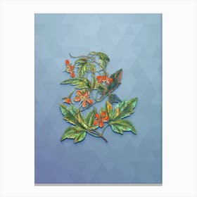 Vintage Red Loasa Flower Botanical Art on Summer Song Blue n.0938 Canvas Print