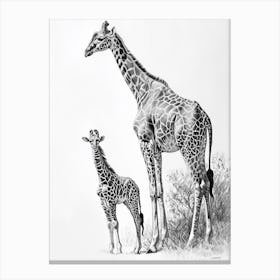 Pencil Portrait Of Giraffe Mother & Calf 2 Canvas Print