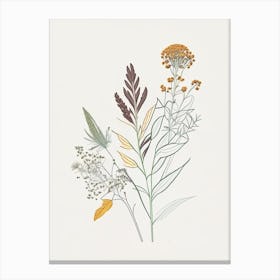 Boneset Spices And Herbs Minimal Line Drawing 3 Canvas Print