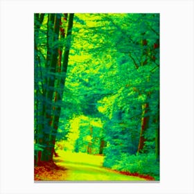 Road In The Woods in Summer Canvas Print