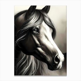 Creative Horse Beauty Illustration Nr 124 Canvas Print