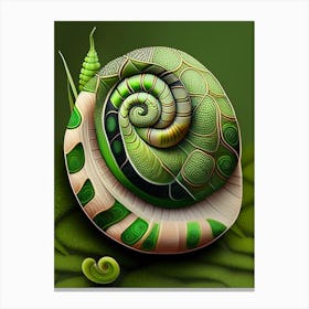 Olive Nerite Snail  Patchwork Canvas Print