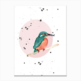 King Fisher Canvas Print