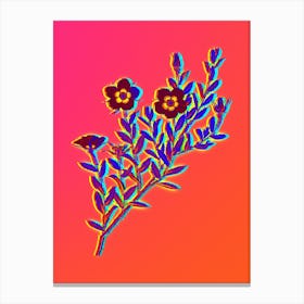 Neon Rosa Persica Botanical in Hot Pink and Electric Blue n.0463 Canvas Print