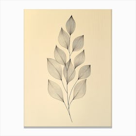 Leaf Drawing 1 Canvas Print