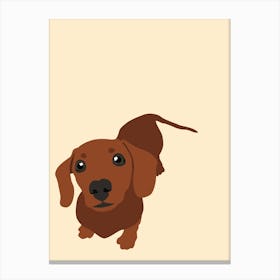 Dachshund Canvas Print