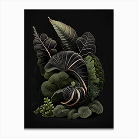 Snail With Black Background Botanical Canvas Print