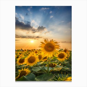 Sunset With Beautiful Sunflowers Canvas Print