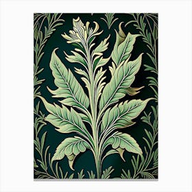 Tarragon Leaf Vintage Botanical 2 Canvas Print
