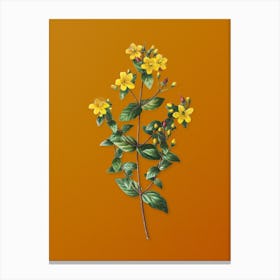 Vintage Stinking Tutsan Botanical on Sunset Orange n.0073 Canvas Print