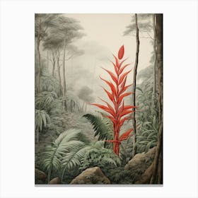 Vintage Jungle Botanical Illustration Heliconia 3 Canvas Print