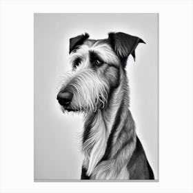 Irish Wolfhound B&W Pencil dog Canvas Print