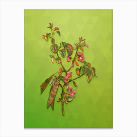 Vintage Judas Tree Botanical Art on Love Bird Green Canvas Print