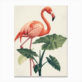 Lesser Flamingo And Alocasia Elephant Ear Minimalist Illustration 4 Canvas Print