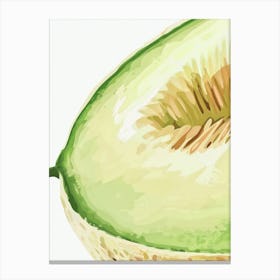 Honeydew Melon Close Up Illustration 1 Canvas Print