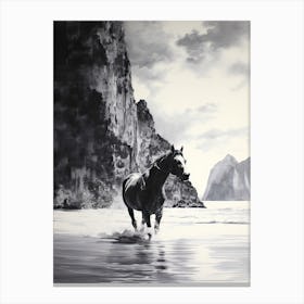 A Horse Oil Painting In Maya Bay, Thailand, Portrait 2 Canvas Print