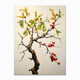 Cherry Tree Canvas Print