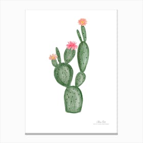 Aloe vera plant. Green plant. Beautiful plant. Thorns plant. Aloe vera flowers.3 Canvas Print