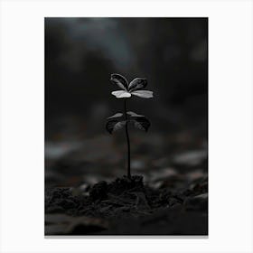 Single Leaf 2 Canvas Print