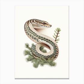 Pine Snake 1 Vintage Canvas Print
