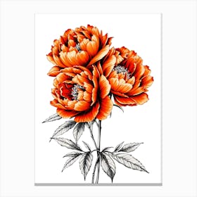 Peonies 9 Canvas Print