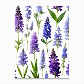 Nature Pattern Isolate White Arrangement Purple Flat Floral Blue Natural Herbal Medicine (13) Canvas Print