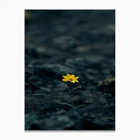 Single Yellow Flower 40 Canvas Print