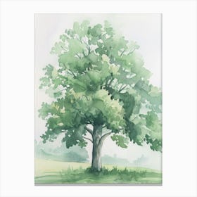Beech Tree Atmospheric Watercolour Painting 4 Canvas Print